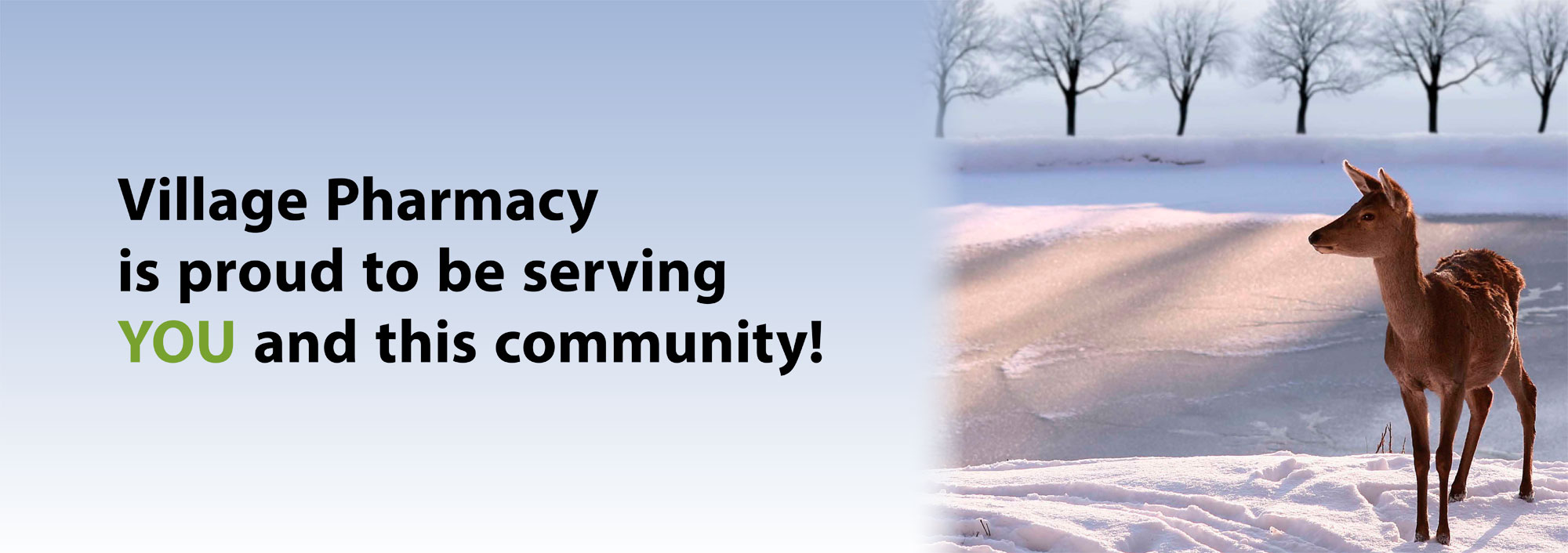 Village Pharmacy Lakefield